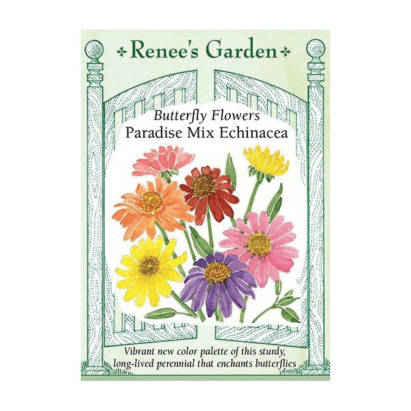Paradise Mix Echinacea Butterfly Flower Seed, Renee's Garden, Echinacea Purpurea, Fall Bloom, Summer Harvest - 5