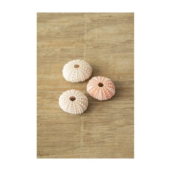 Plantaflor Usa | Outdoor Supply Hardware