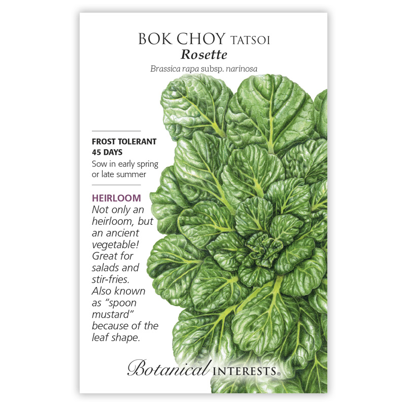 Botanical Interests 3033 Organic Heirloom Vegetable Seed, Rosette Tatsoi Bok Choy Bok Choy, 1 g Pack - 2