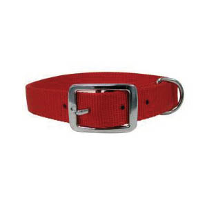 PDQ 2971601 Dog Collar, 16 in L Collar, 3/4 in W Collar, Nylon, Red