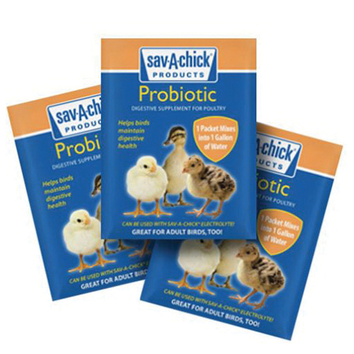 Sav-A-Chick 703818