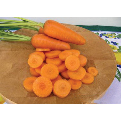 Renee's Garden 3083 Organic Seed, Carrot, March to June, July to August Planting, 1.5 g (1550 Count) - 3