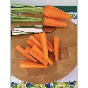Renee's Garden 3083 Organic Seed, Carrot, March to June, July to August Planting, 1.5 g (1550 Count) - 5