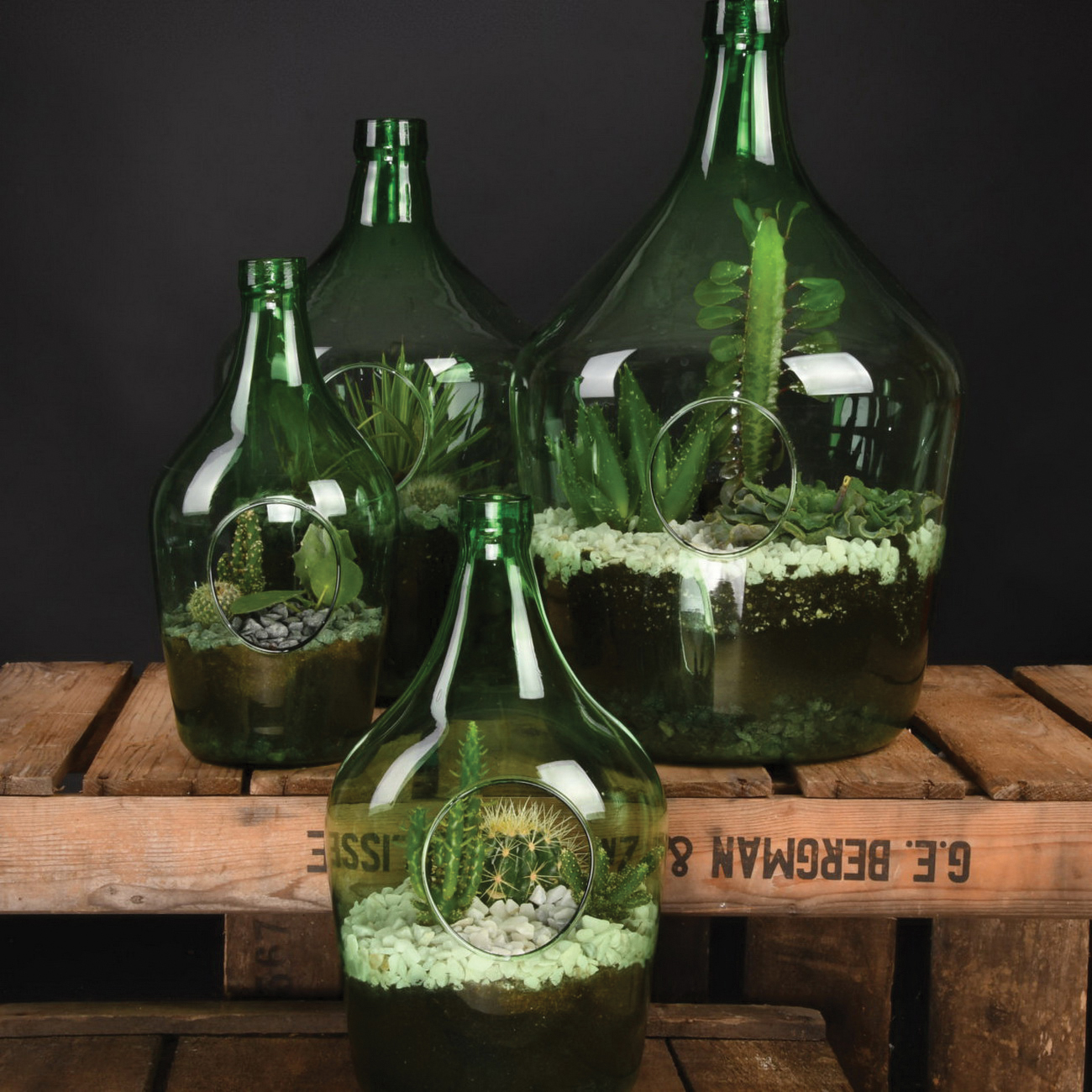 Esschert Design Esschert's Garden AGG65 Medium Open Terrarium Bottle, Cork/Glass, Green - 2