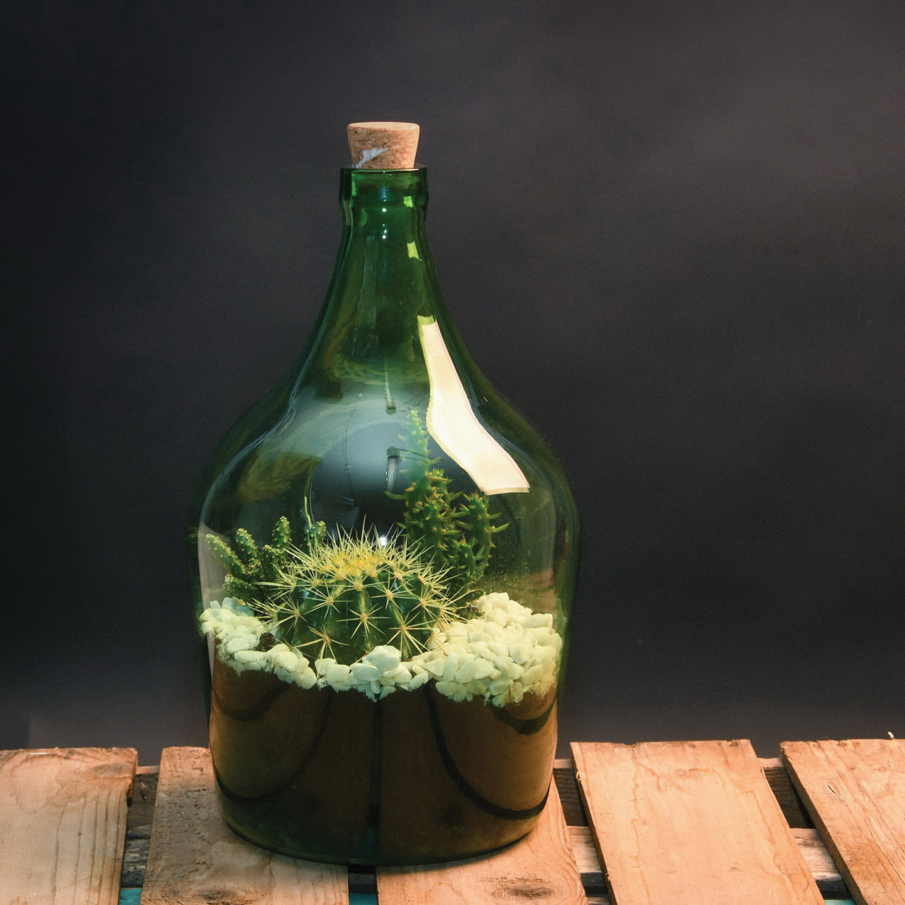 Esschert Design Esschert's Garden AGG65 Medium Open Terrarium Bottle, Cork/Glass, Green - 3