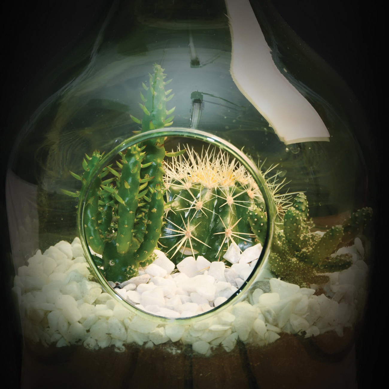 Esschert Design Esschert's Garden AGG65 Medium Open Terrarium Bottle, Cork/Glass, Green - 4