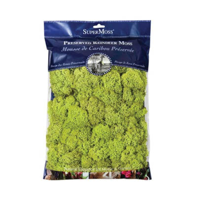 SuperMoss 21669 Preserved Reindeer Moss, Chartreuse, 8 oz Bag