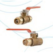 Cash Acme 22185LFCA