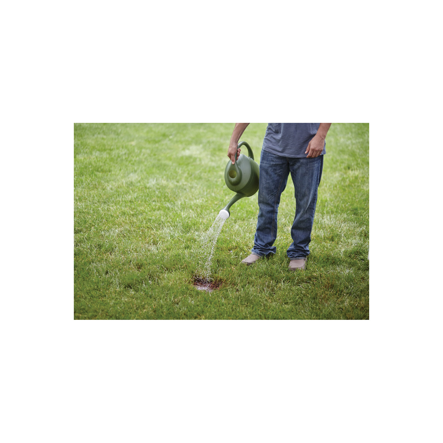 Scotts 17504 Grass Seed, 20 lb Bag - 2