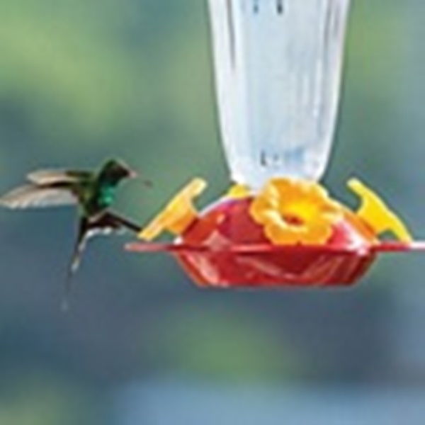 Perky-Pet 136TF Hummingbird Feeder, Yellow Flower Top-Fill, 16 oz, Nectar, 4-Port/Perch, Plastic, Red, 8.9 in H - 3