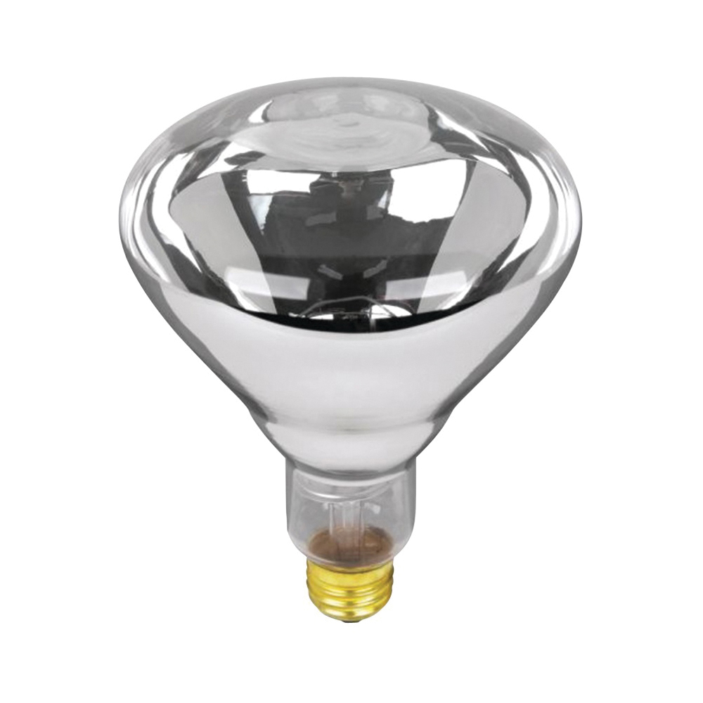 Feit Electric 125R40/1 Incandescent Lamp, 125 W, BR40 Lamp, Medium E26 Lamp Base, 2700 K Color Temp, Clear Lamp - 1