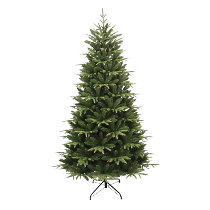 61074 Cascade Noble Fir Tree, 7 ft H, Nobel Fir Family