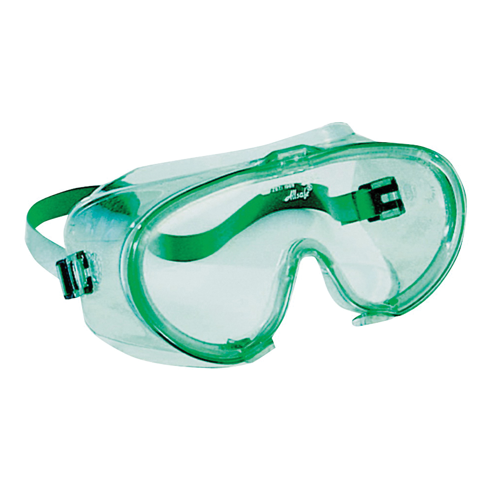 JACKSON SAFETY SAFETY Series 16666 Safety Goggles, Anti-Fog Lens, Polycarbonate Lens, PVC Frame, Green Frame - 1