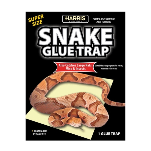 SNAKE-1 Snake Glue Trap, 15.4 in L, 9.9 in W, Glue Board Locking