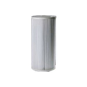 OMNIFilter Series RS6-SS2-S06 Filter Cartridge, 30 um Filter, Polyester Filter Media, Pleated Paper