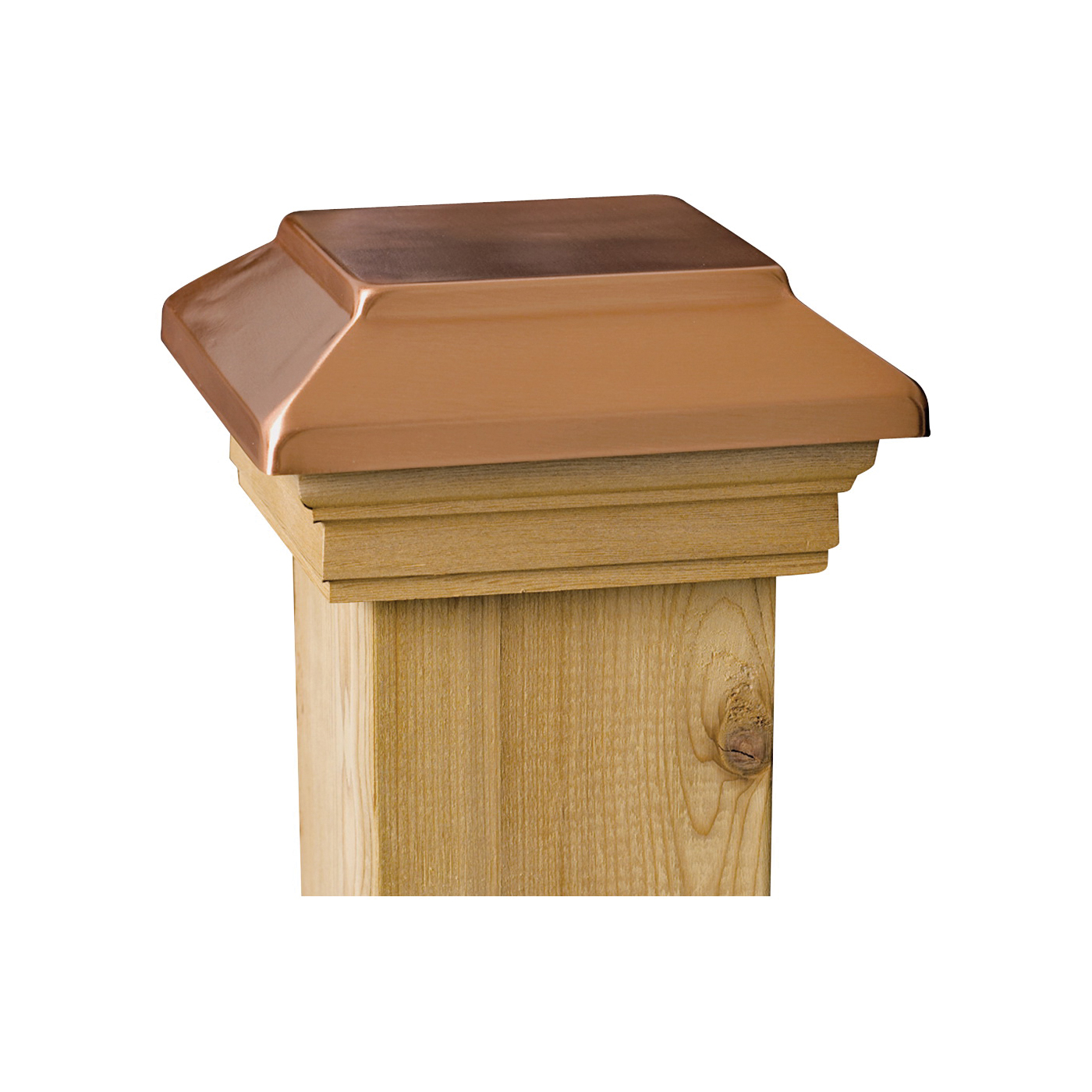 Maine Ornamental 72295