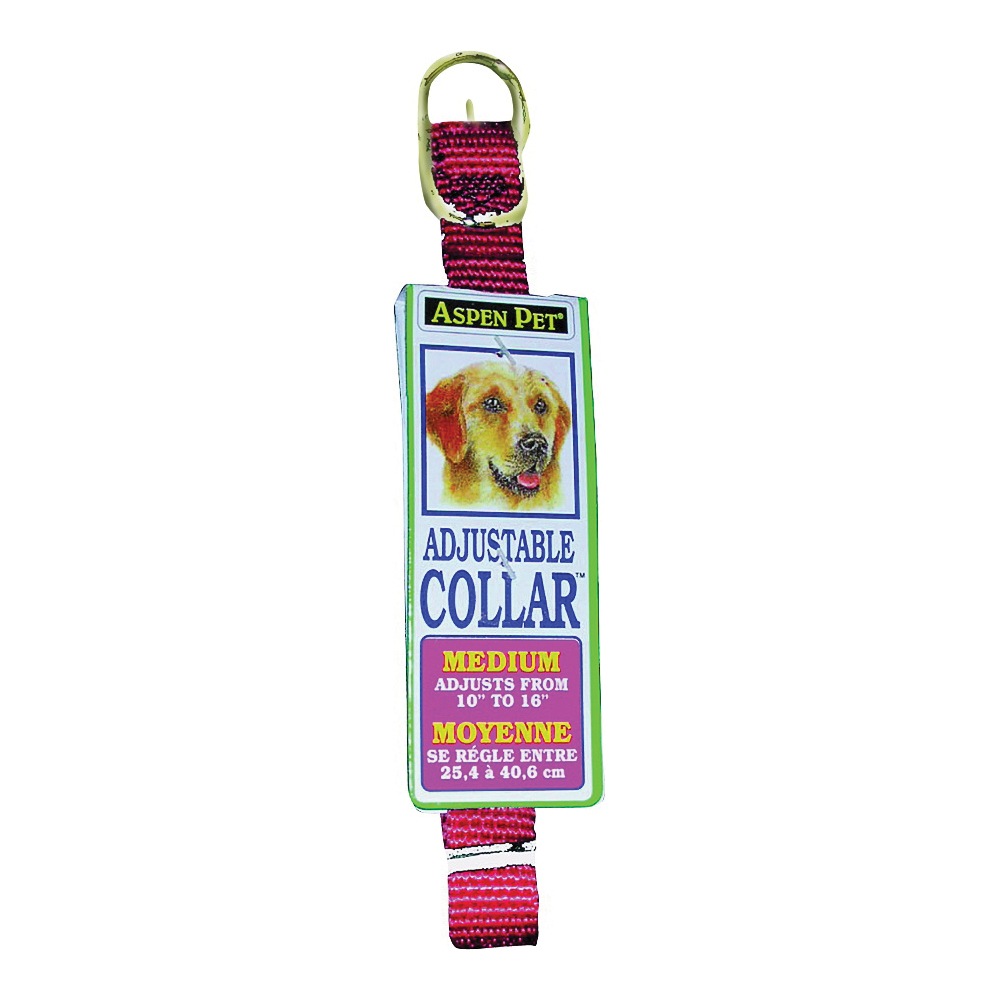 Petmate 15706 Adjustable Dog Collar, 10 in L, 5/8 in W, Nylon, Red