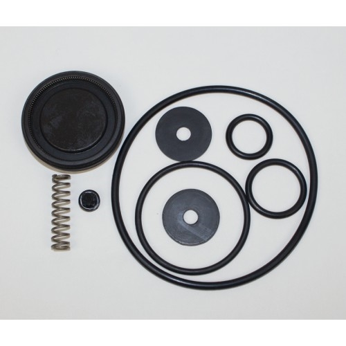 0610407-K Pump Repair Kit, Piston