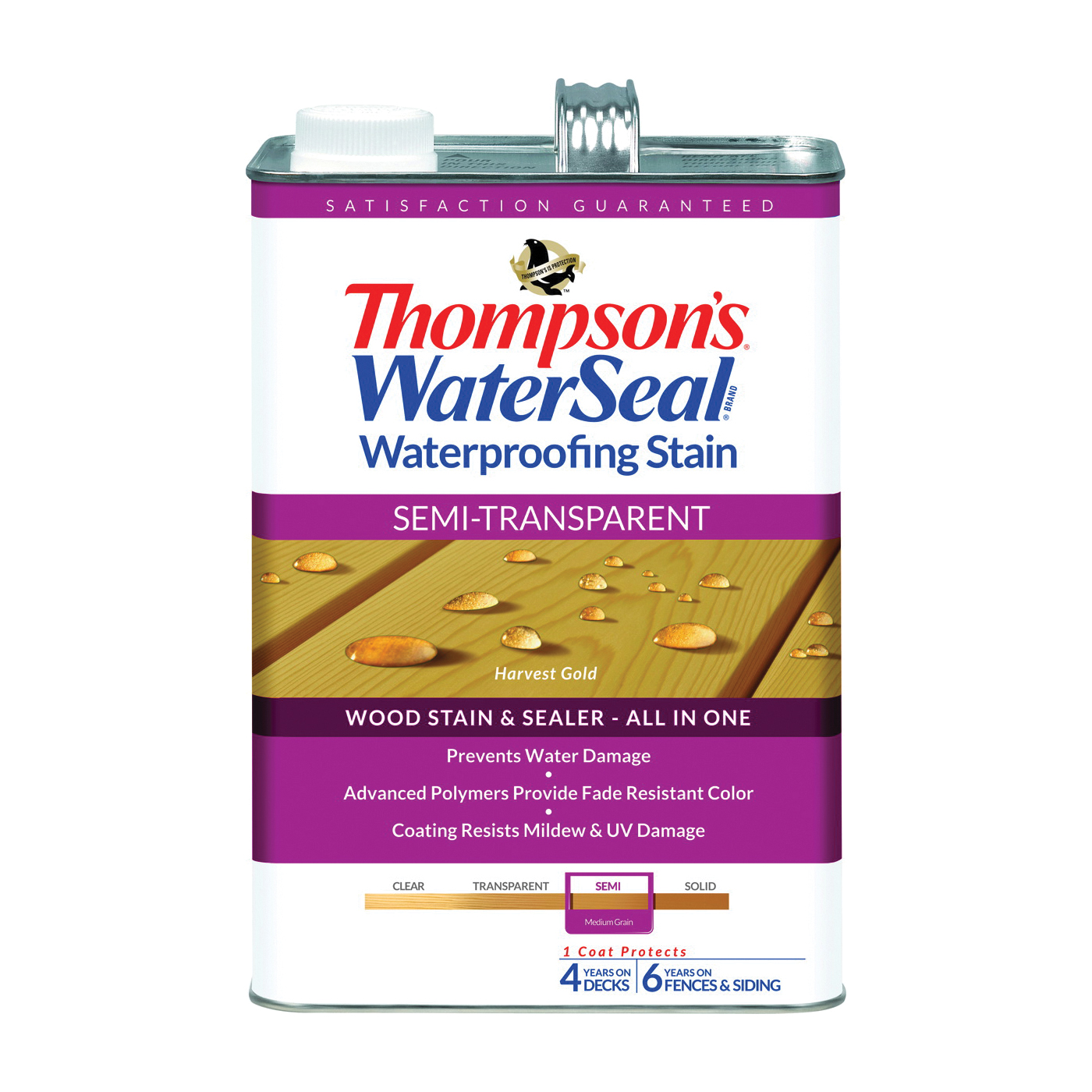 Thompson's Waterseal TH.042811-16