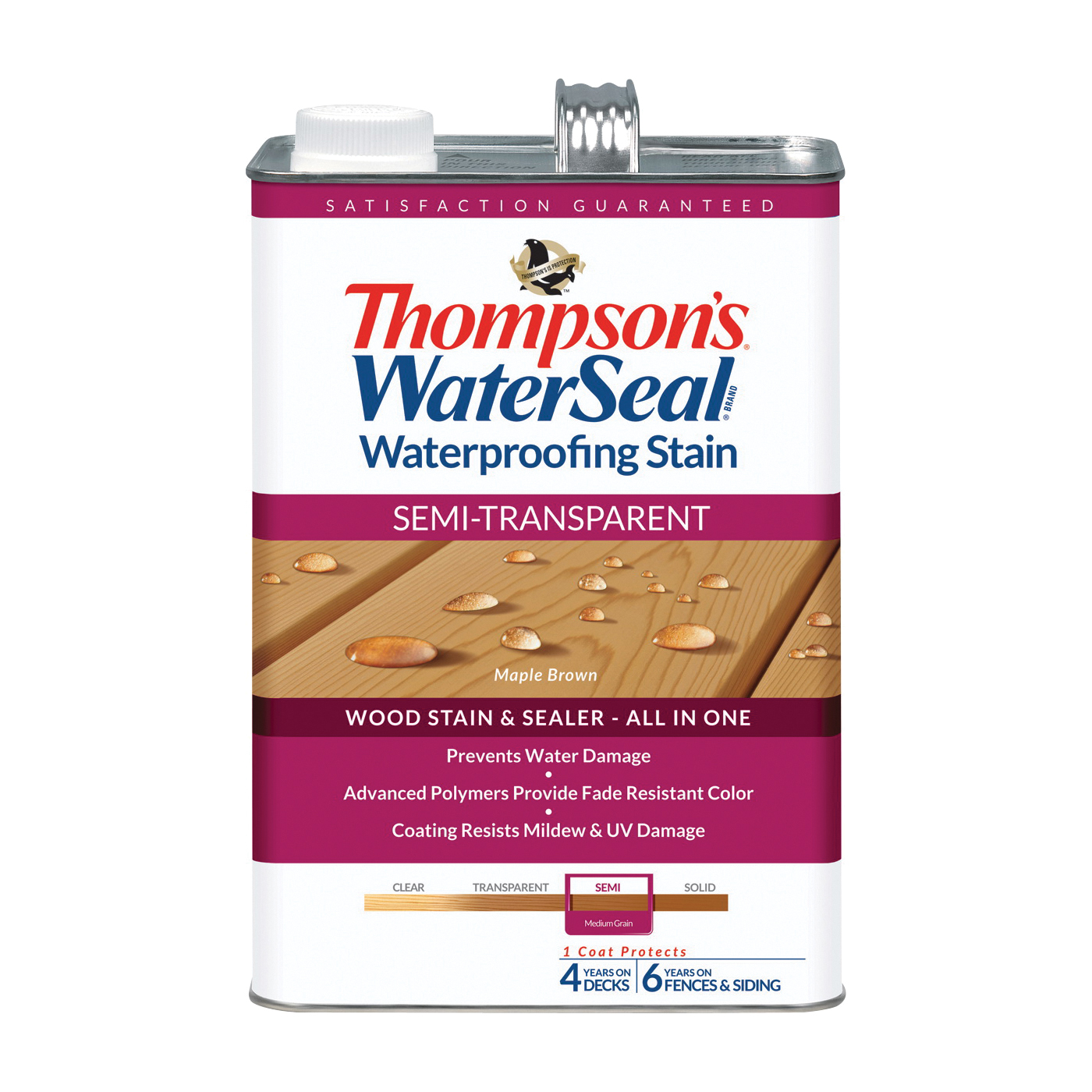 Thompson's Waterseal TH.042821-16