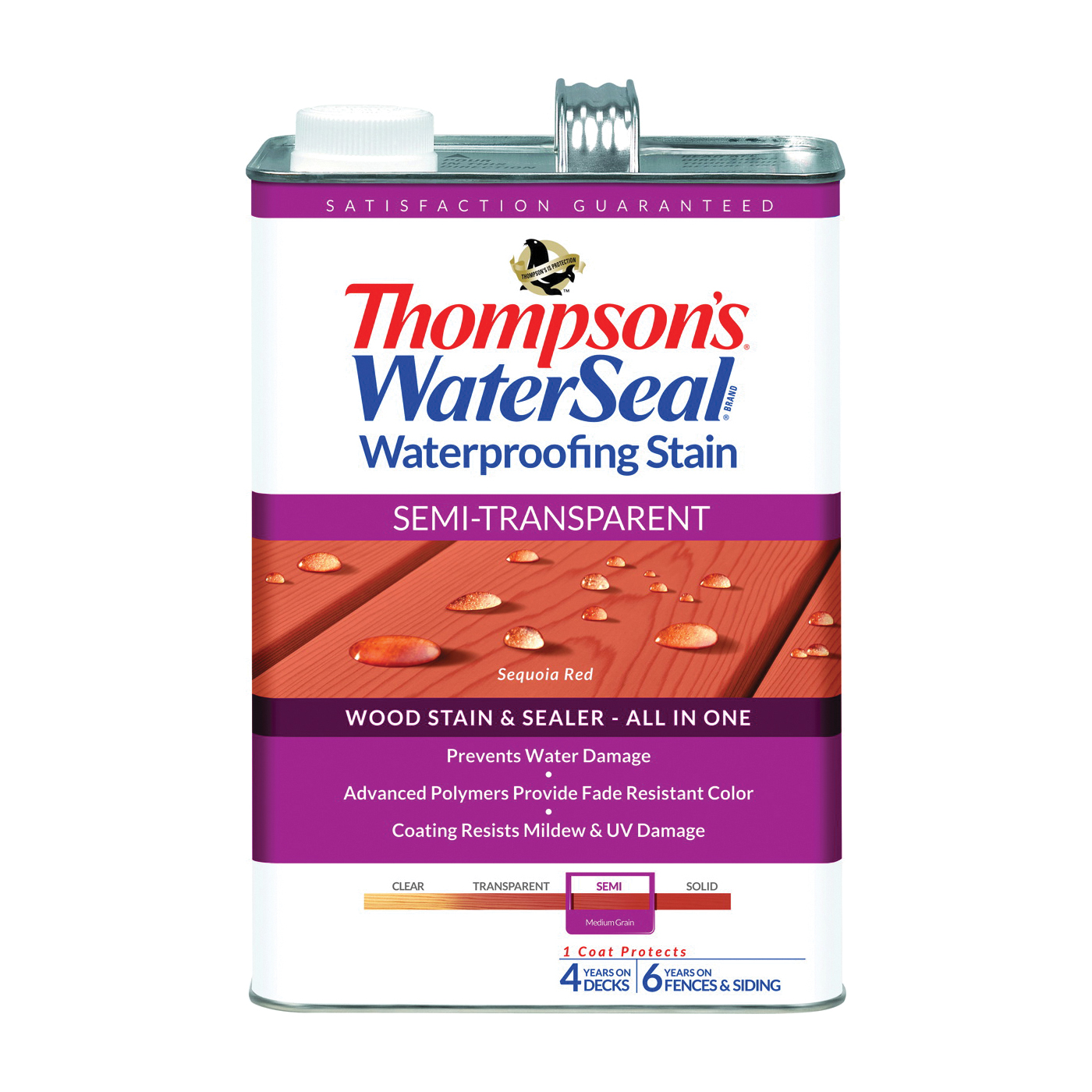 Thompson's WaterSeal TH.042831-16 Waterproofing Stain, Se...