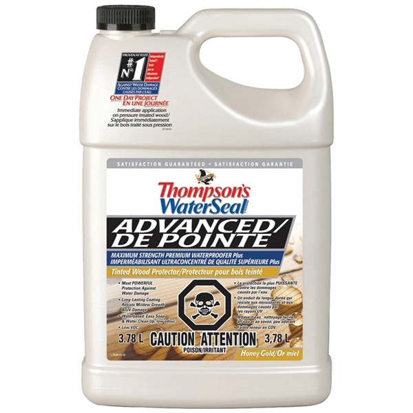 Thompson's Waterseal THC051721-16