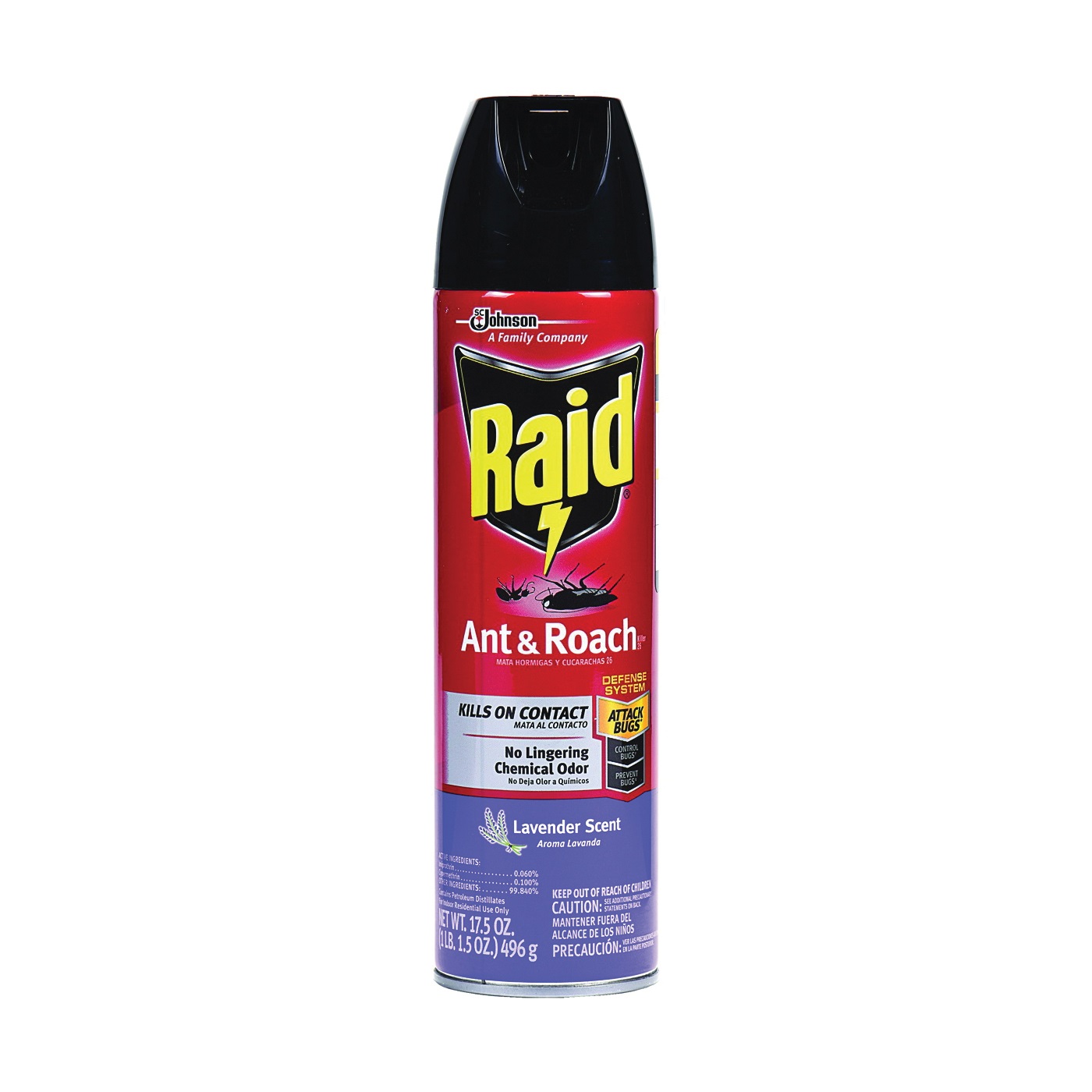 Raid 73963