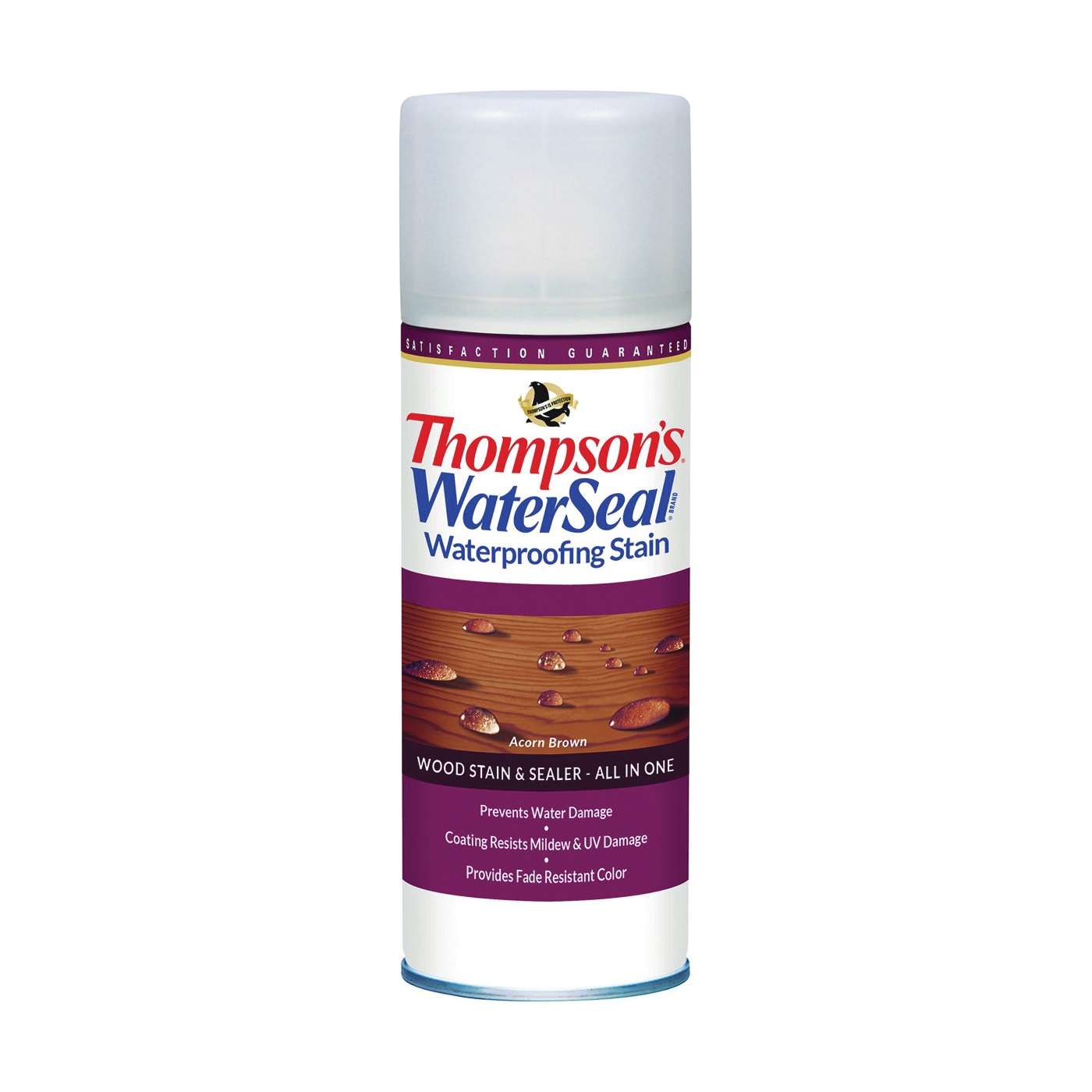 Thompson's Waterseal TH.012541-18