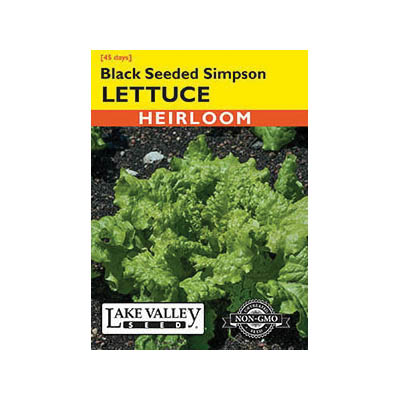 Lake Valley Seed 171 Vegetable Seed, Black Seeded Simpson Lettuce, Lactuca Sativa, Fall, Spring, Winter Planting