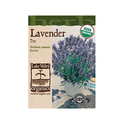 Lake Valley Seed 4283 Organic Herb Seed, True Lavender, Lavendula Angustifolia Vera - 1