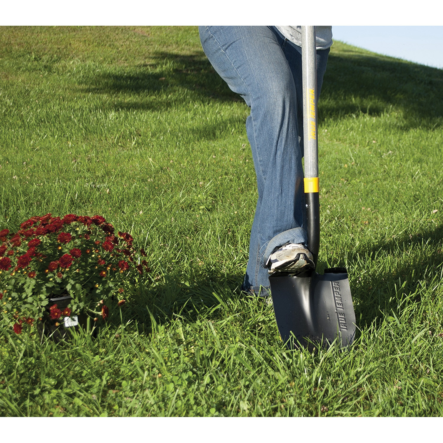 True Temper 2585600 Shovel, 8-3/4 in W Blade, 16 ga, Steel Blade, Hardwood Handle, Straight Handle, 33 in L Handle - 2