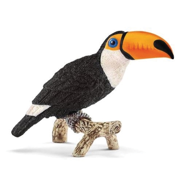 Schleich-S 14777 Figurine, 3 to 8 years, Toucan, Plastic