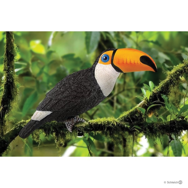 Schleich-S 14777 Figurine, 3 to 8 years, Toucan, Plastic