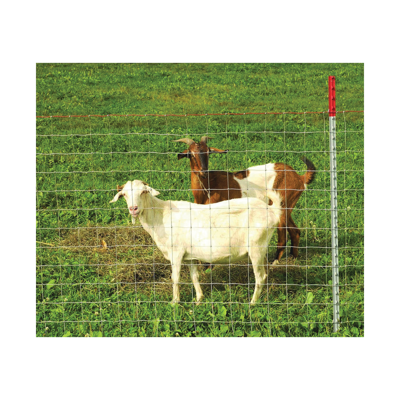 Square Deal 70315 Sheep and Goat Fence, 330 ft L, 48 in H, 4 x 4 in Mesh, 12-1/2 Gauge, Galvanized