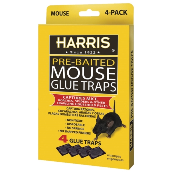 HMG-4 Mouse Glue Trap