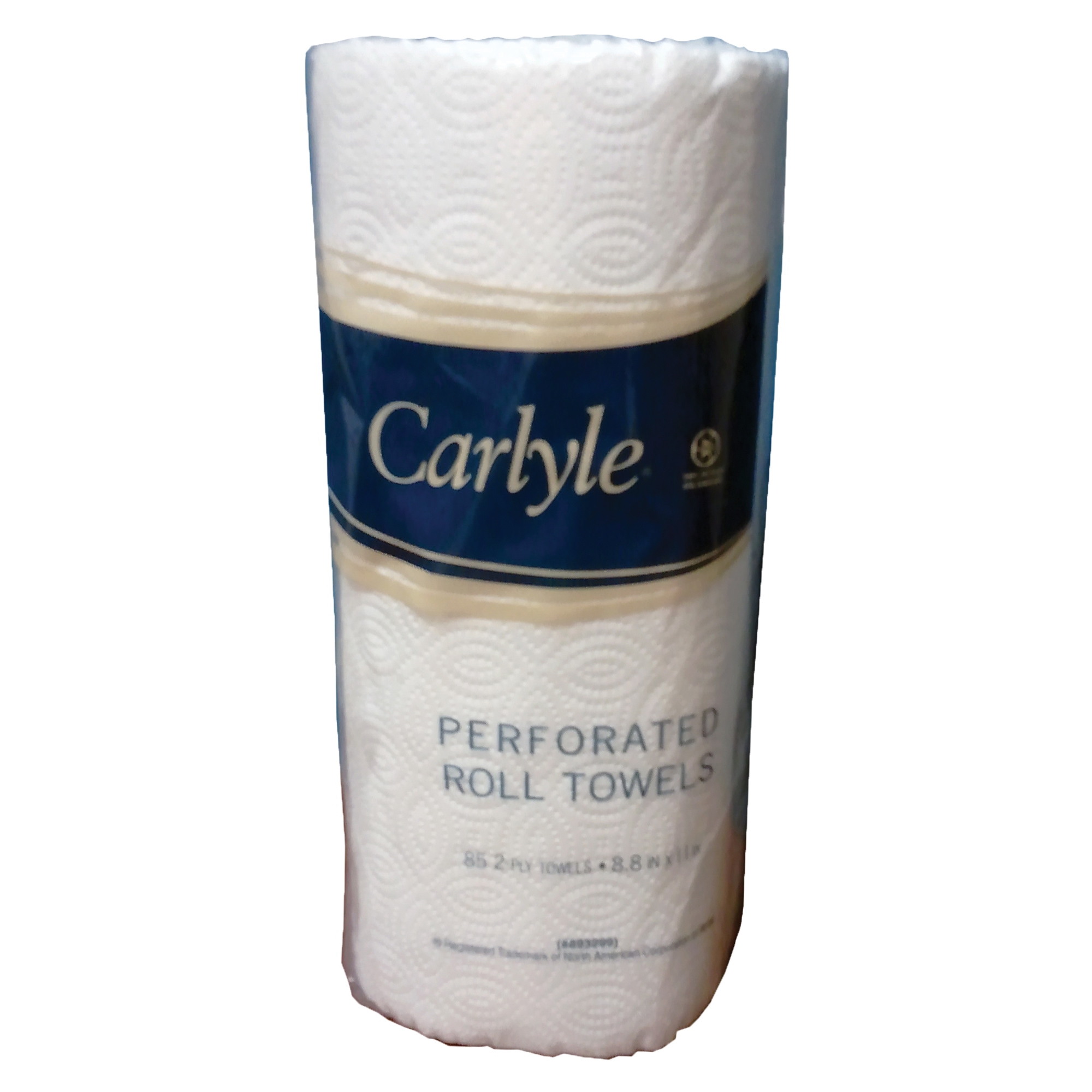 NORTH AMERICAN PAPER 893299