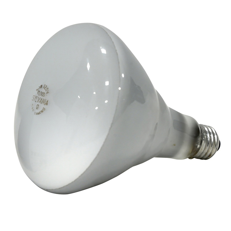 65 watt 120 volt bulb