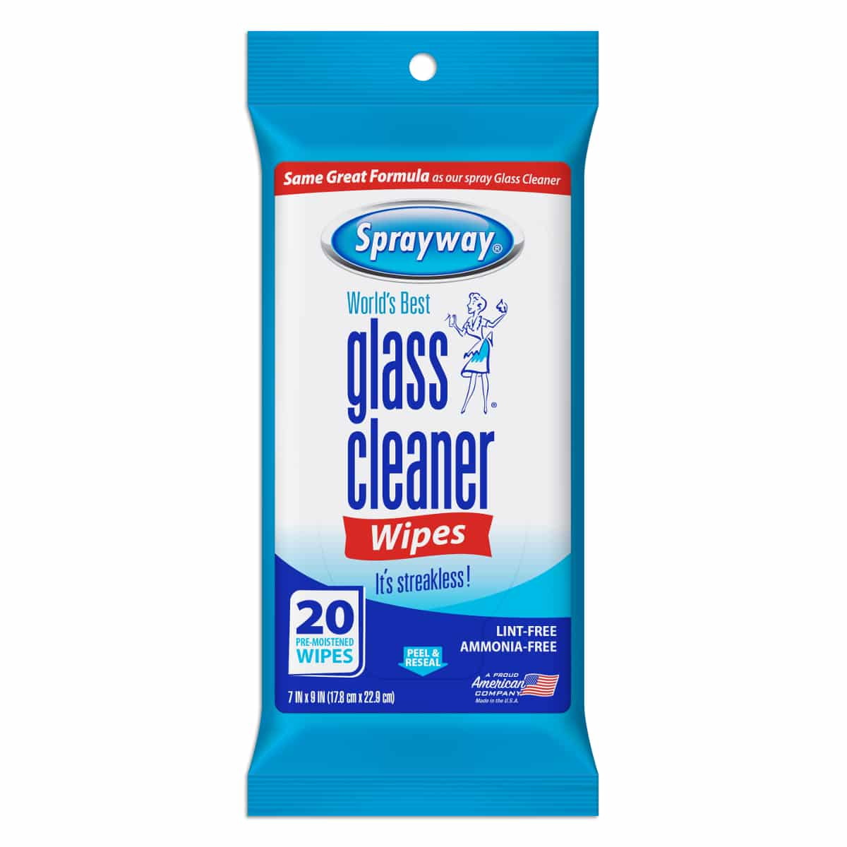 COLORmaxx SW199R Cleaning Wipe, 20 ct Pouch, Liquid