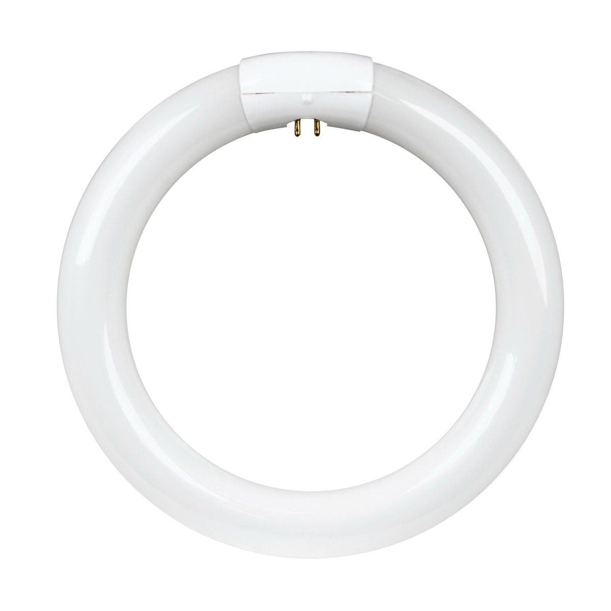 Feit Electric FC30/CW Fluorescent Bulb, 30 W, Circular Lamp, 4-Pin G10Q Lamp Base, 1550 Lumens, 4100 K Color Temp