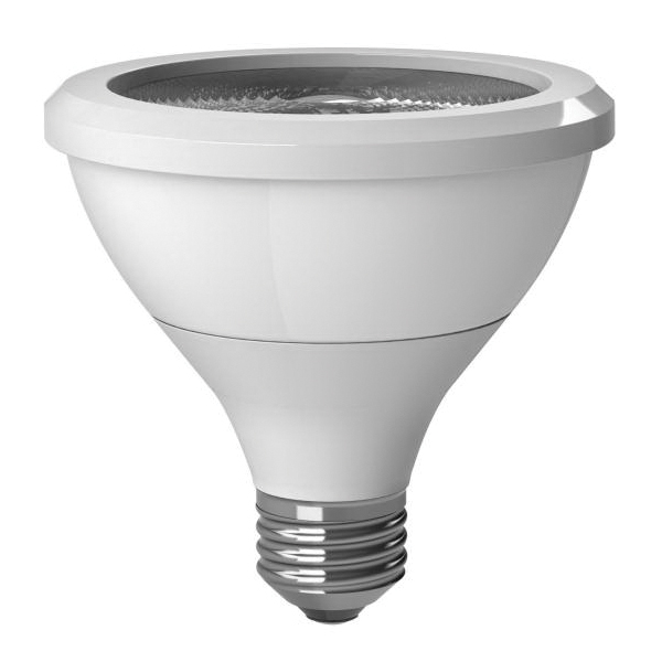38443 Replacement LED Bulb, Flood, Spotlight, PAR30 Lamp, 75 W Equivalent, E26 Lamp Base, Dimmable, Clear