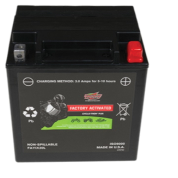 Interstate Batteries Fayix30l 0103