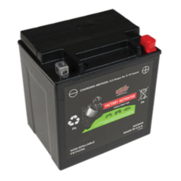 Interstate Batteries FAYIX30L Replacement Battery, AGM, 12 V Battery, 30 Ah