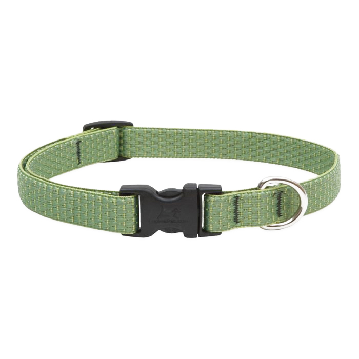 LupinePet Eco 36701 Adjustable Dog Collar, 9 to 14 in Neck, 3/4 in W Collar, Recycled Plastic Bottle, Moss