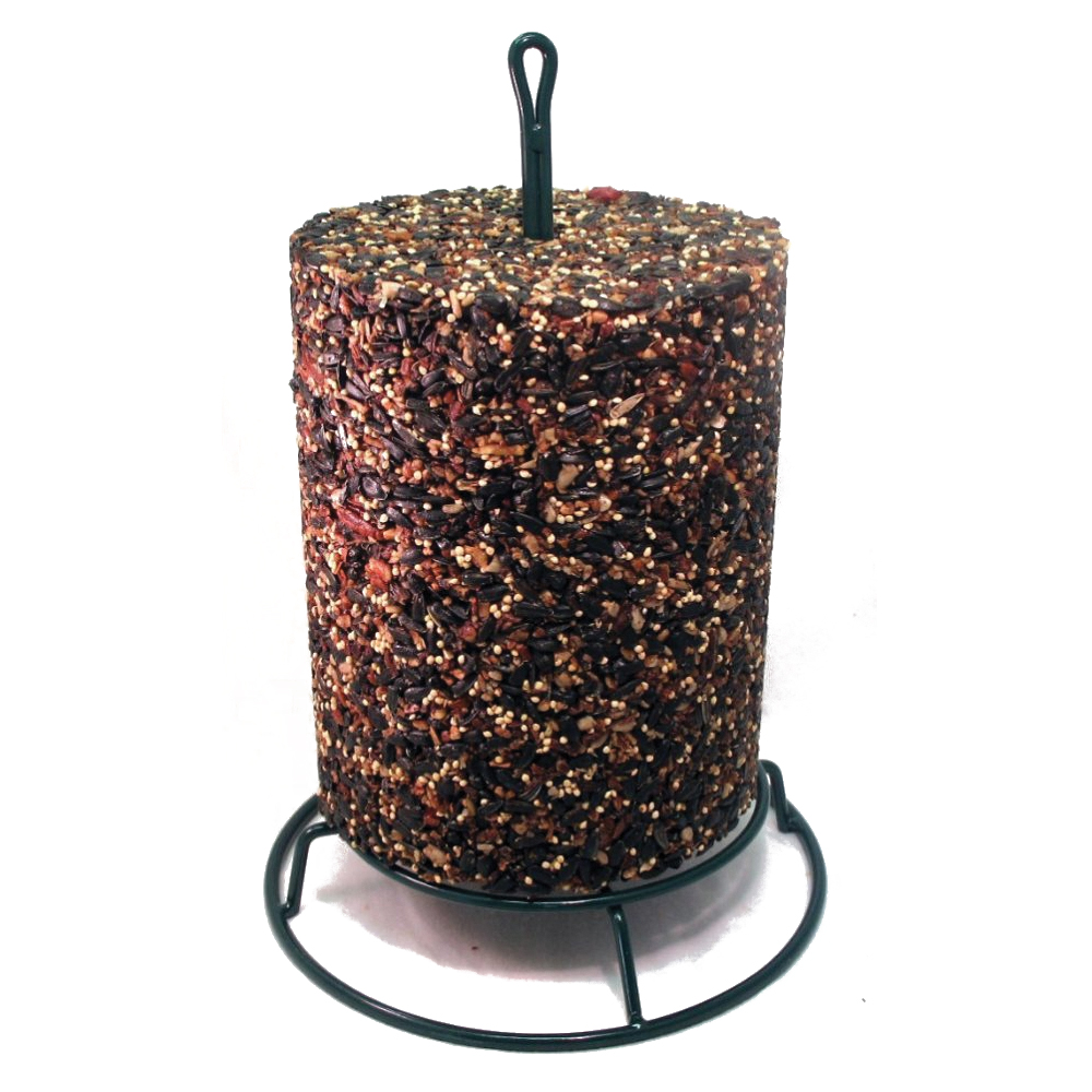 Mr.Bird 172 Pecans Wild Bird Food, 72 oz, Large