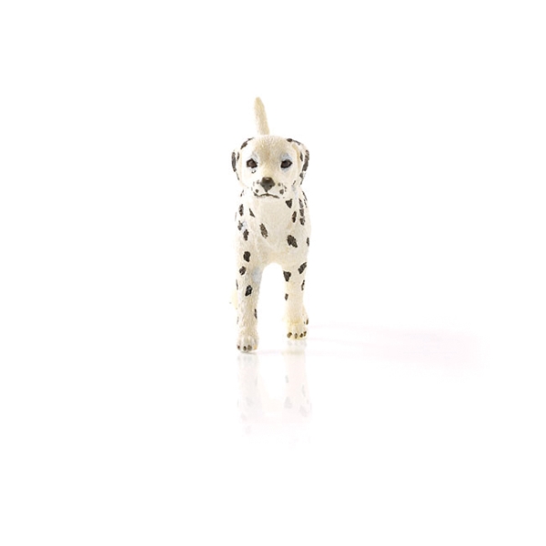 Schleich-S 16838 Figurine, 3 to 8 years, Dalmatian Male, Plastic - 2