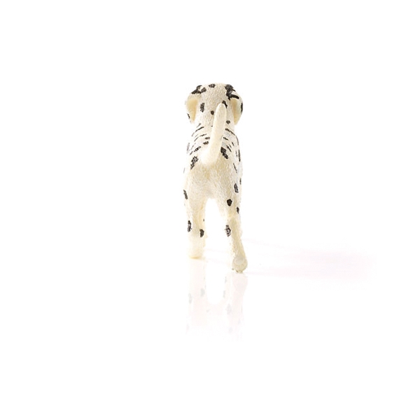 Schleich-S 16838 Figurine, 3 to 8 years, Dalmatian Male, Plastic - 5