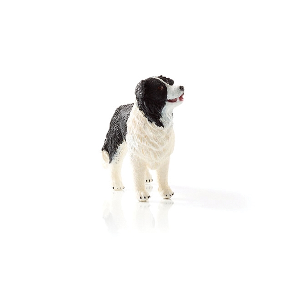 Schleich-S 16840 Figurine, 3 to 8 years, Border Collie, Plastic - 3