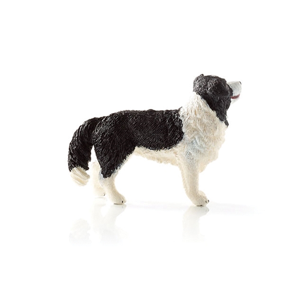 Schleich-S 16840 Figurine, 3 to 8 years, Border Collie, Plastic - 5