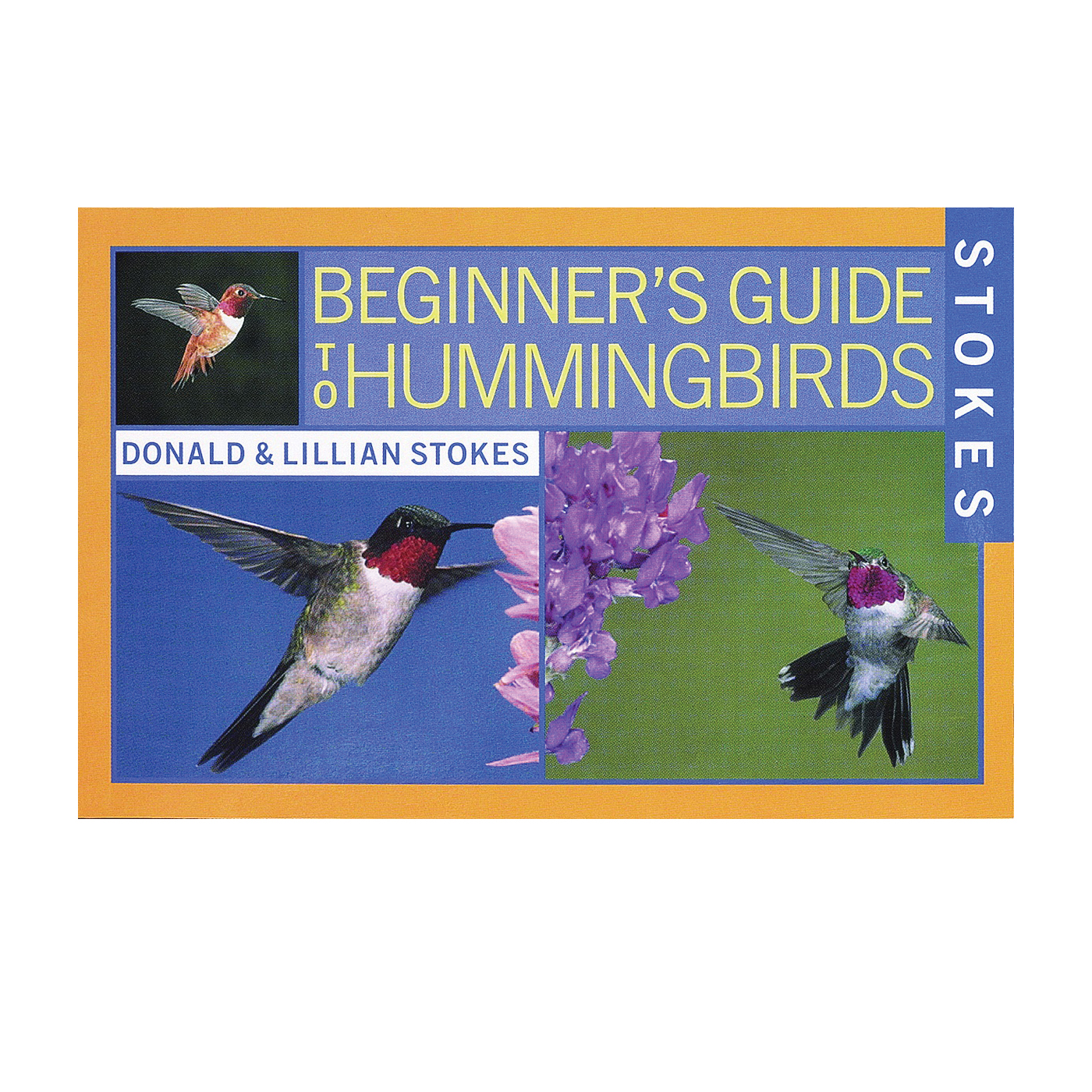 38061 Bird Book, Beginner’s Guide To Hummingbirds, Author: Donald, Lillian Stokes, 144-Page