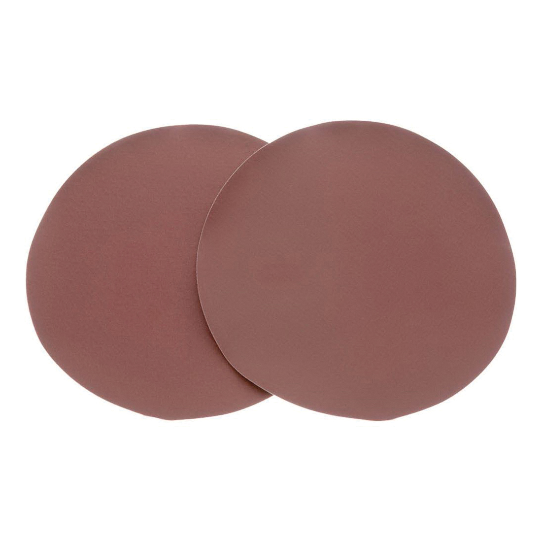 Woodstock D1334 Woodstock D1334 Sand Disc, 10 in Dia, 220 Grit, Aluminum Oxide Abrasive - 1